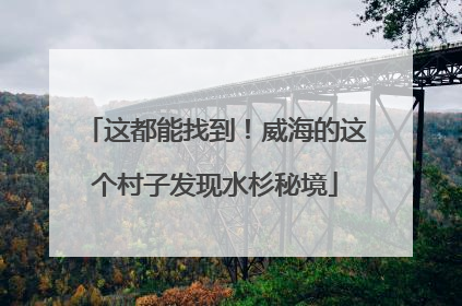 这都能找到！威海的这个村子发现水杉秘境