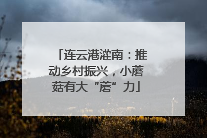 连云港灌南：推动乡村振兴，小蘑菇有大“蘑”力