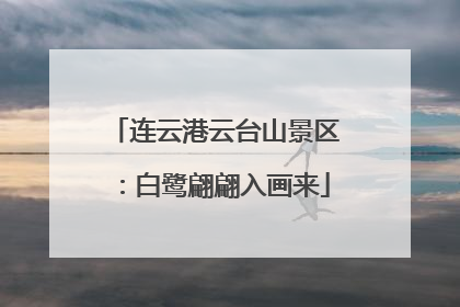 连云港云台山景区：白鹭翩翩入画来