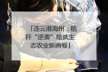 连云港海州：秸秆“逆袭”绘就生态农业新画卷