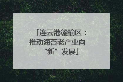 连云港赣榆区：推动海苔老产业向“新”发展