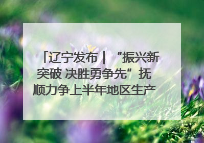 辽宁发布｜“振兴新突破 决胜勇争先”抚顺力争上半年地区生产总值增长7%左右