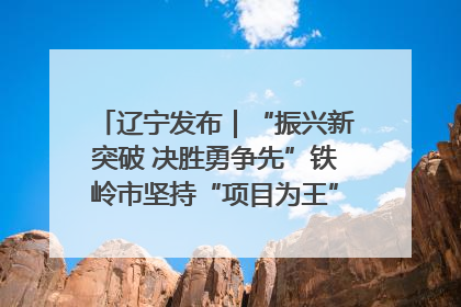 辽宁发布｜“振兴新突破 决胜勇争先”铁岭市坚持“项目为王”推进经济高质量发展