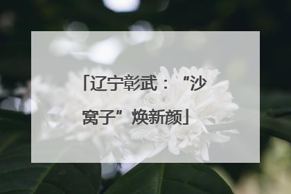 辽宁彰武：“沙窝子”焕新颜
