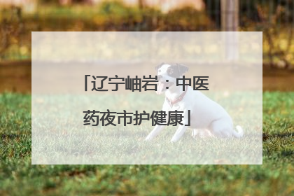 辽宁岫岩：中医药夜市护健康