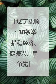 辽宁抚顺：38条举措稳经济、促振兴、勇争先
