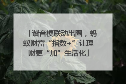 谐音梗联动出圈，蚂蚁财富“指数+”让理财更“加”生活化
