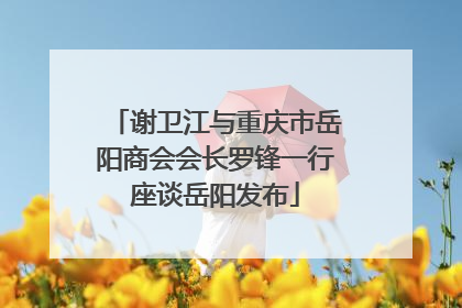 谢卫江与重庆市岳阳商会会长罗锋一行座谈岳阳发布