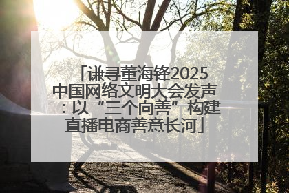 谦寻董海锋2025中国网络文明大会发声：以“三个向善”构建直播电商善意长河