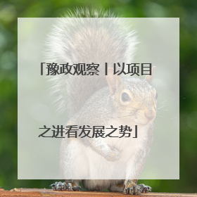 豫政观察丨以项目之进看发展之势