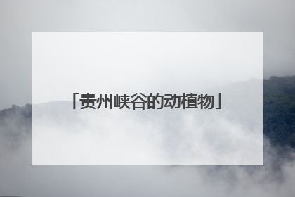 贵州峡谷的动植物