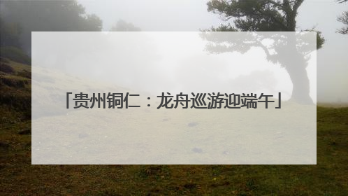 贵州铜仁：龙舟巡游迎端午