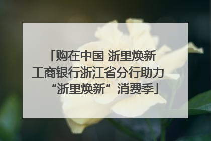 购在中国 浙里焕新 工商银行浙江省分行助力“浙里焕新”消费季
