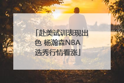 赴美试训表现出色 杨瀚森NBA选秀行情看涨