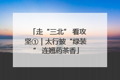 走“三北” 看攻坚①｜太行披“绿装” 连翘药茶香