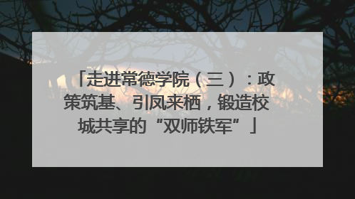 走进常德学院（三）：政策筑基、引凤来栖，锻造校城共享的“双师铁军”