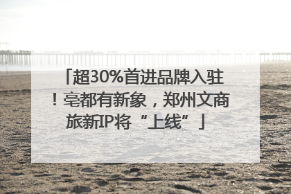 超30%首进品牌入驻！亳都有新象，郑州文商旅新IP将“上线”