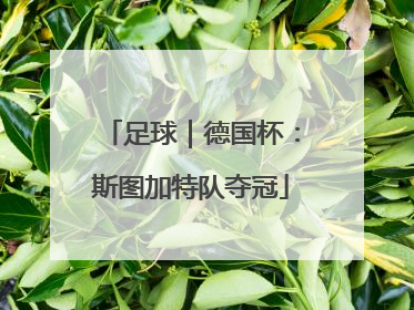 足球｜德国杯：斯图加特队夺冠