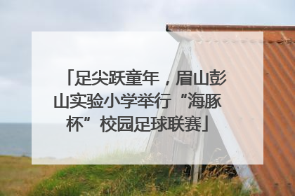 足尖跃童年，眉山彭山实验小学举行“海豚杯”校园足球联赛
