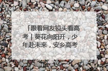 跟着网友镜头看高考｜葵花向阳开，少年赴未来，安乡高考首日的希望图景
