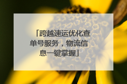 跨越速运优化查单号服务，物流信息一键掌握