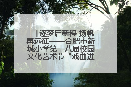 逐梦启新程 扬帆再远征——合肥市新城小学第十八届校园文化艺术节“戏曲进校园专场演出”