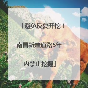 避免反复开挖！南昌新建道路5年内禁止挖掘