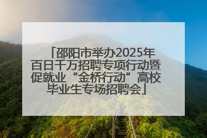 邵阳市举办2025年百日千万招聘专项行动暨促就业“金桥行动”高校毕业生专场招聘会