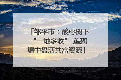 邹平市：酸枣树下“一地多收” 莲藕塘中盘活共富资源