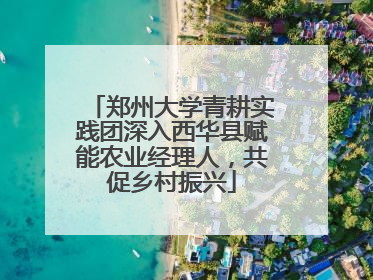 郑州大学青耕实践团深入西华县赋能农业经理人，共促乡村振兴