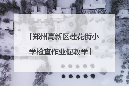 郑州高新区莲花街小学检查作业促教学