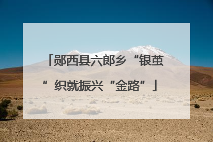 郧西县六郎乡“银茧”织就振兴“金路”