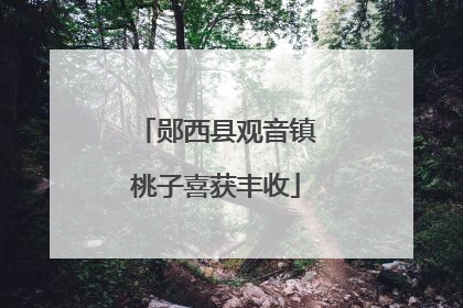 郧西县观音镇桃子喜获丰收