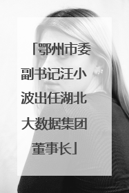 鄂州市委副书记汪小波出任湖北大数据集团董事长