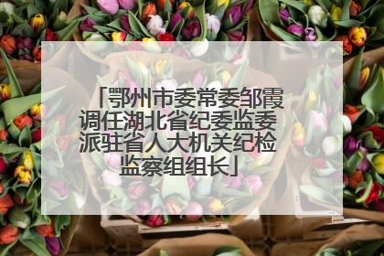 鄂州市委常委邹霞调任湖北省纪委监委派驻省人大机关纪检监察组组长