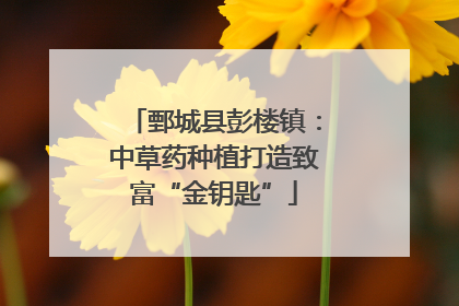 鄄城县彭楼镇：中草药种植打造致富“金钥匙”