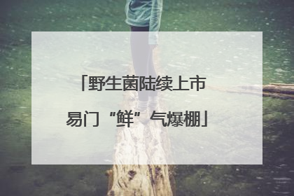 野生菌陆续上市 易门“鲜”气爆棚