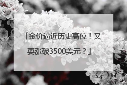 金价逼近历史高位！又要涨破3500美元？