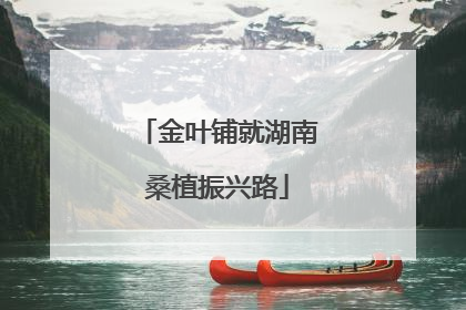 金叶铺就湖南桑植振兴路