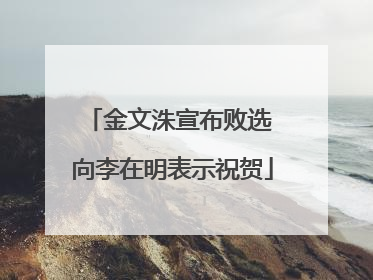 金文洙宣布败选 向李在明表示祝贺