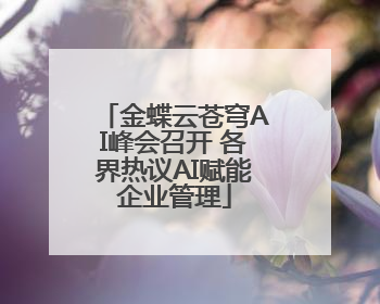 金蝶云苍穹AI峰会召开 各界热议AI赋能企业管理