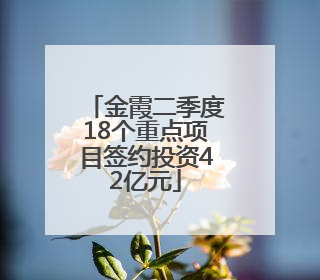 金霞二季度18个重点项目签约投资42亿元