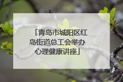 青岛市城阳区红岛街道总工会举办心理健康讲座