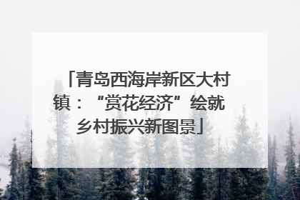 青岛西海岸新区大村镇：“赏花经济”绘就乡村振兴新图景