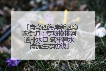 青岛西海岸新区隐珠街道：专项摸排河道排水口 筑牢碧水清流生态防线