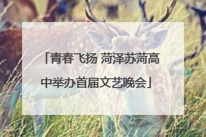 青春飞扬 菏泽苏菏高中举办首届文艺晚会