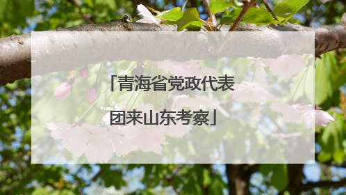 青海省党政代表团来山东考察