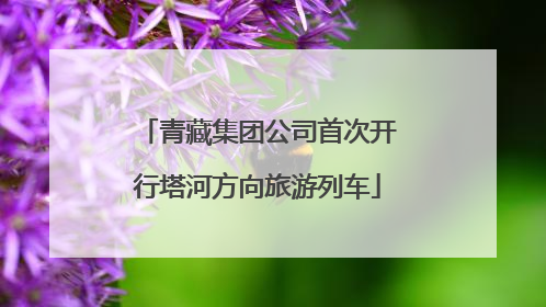青藏集团公司首次开行塔河方向旅游列车