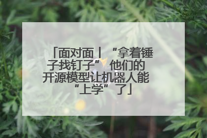 面对面丨“拿着锤子找钉子” 他们的开源模型让机器人能“上学”了
