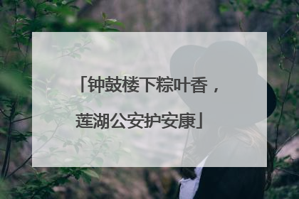 钟鼓楼下粽叶香，莲湖公安护安康